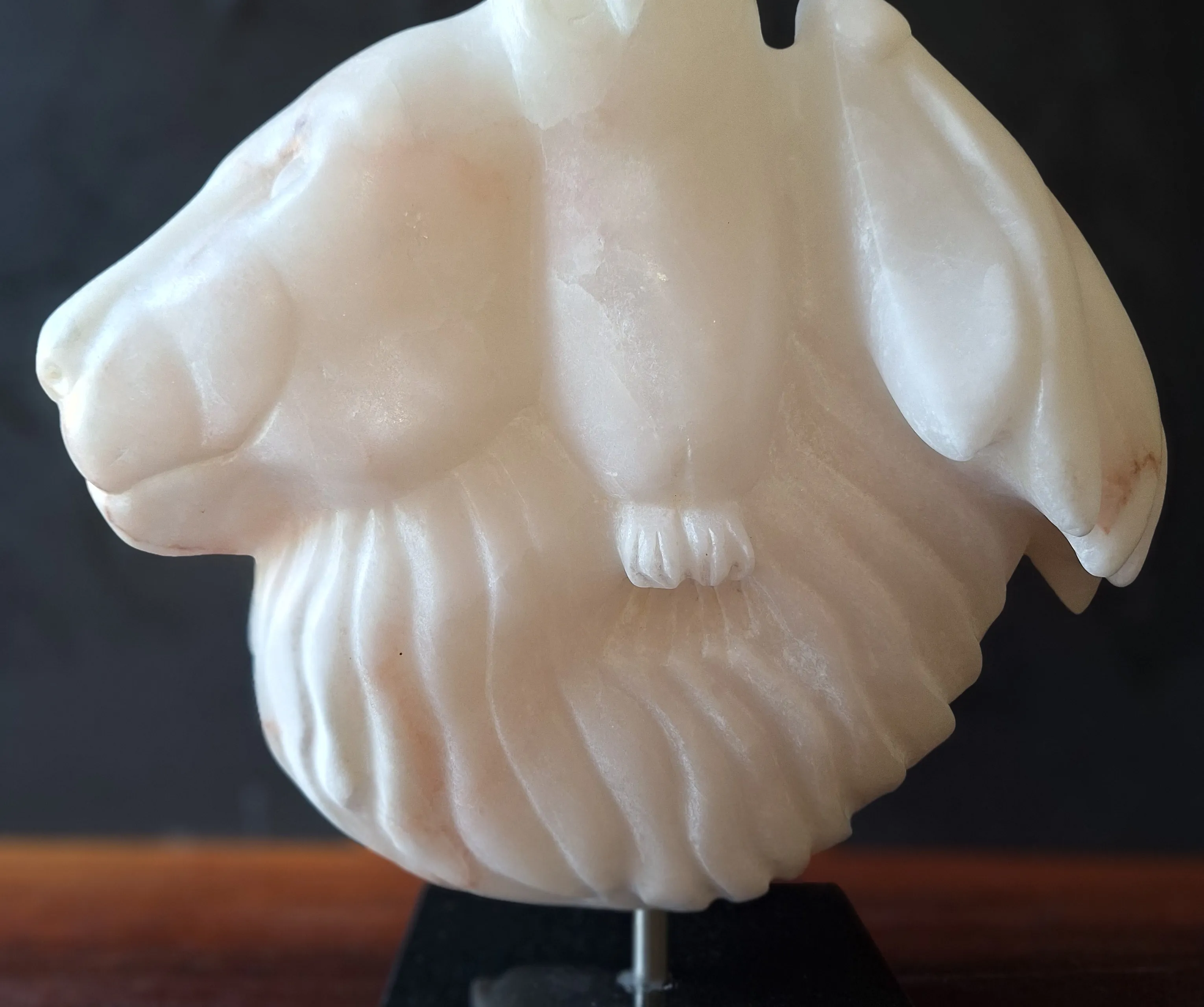 LionsgateCarlaVeldman