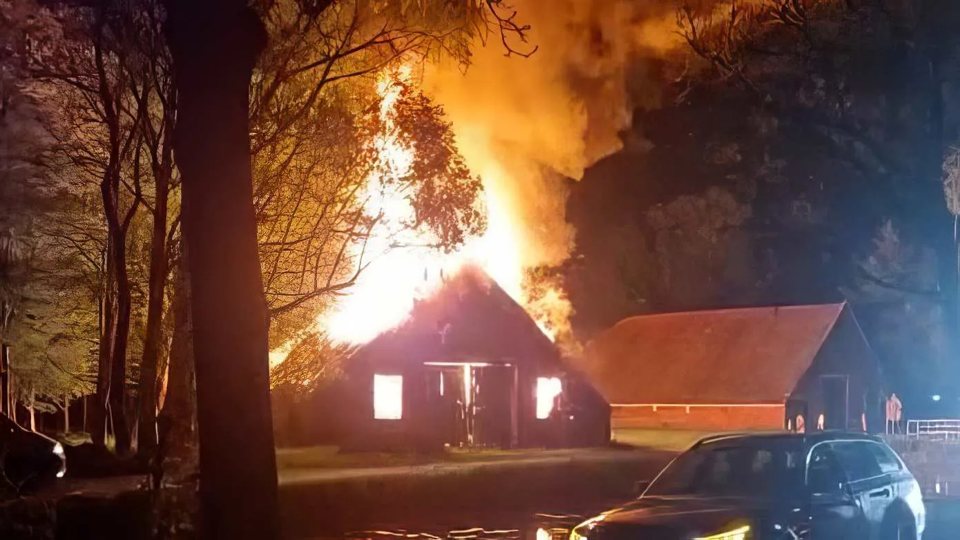brand 1
