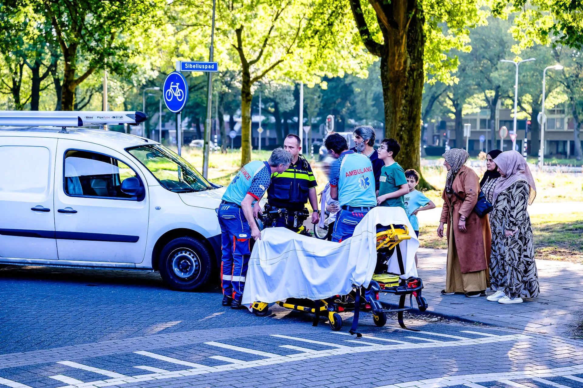 20240921 bms 2385 nef