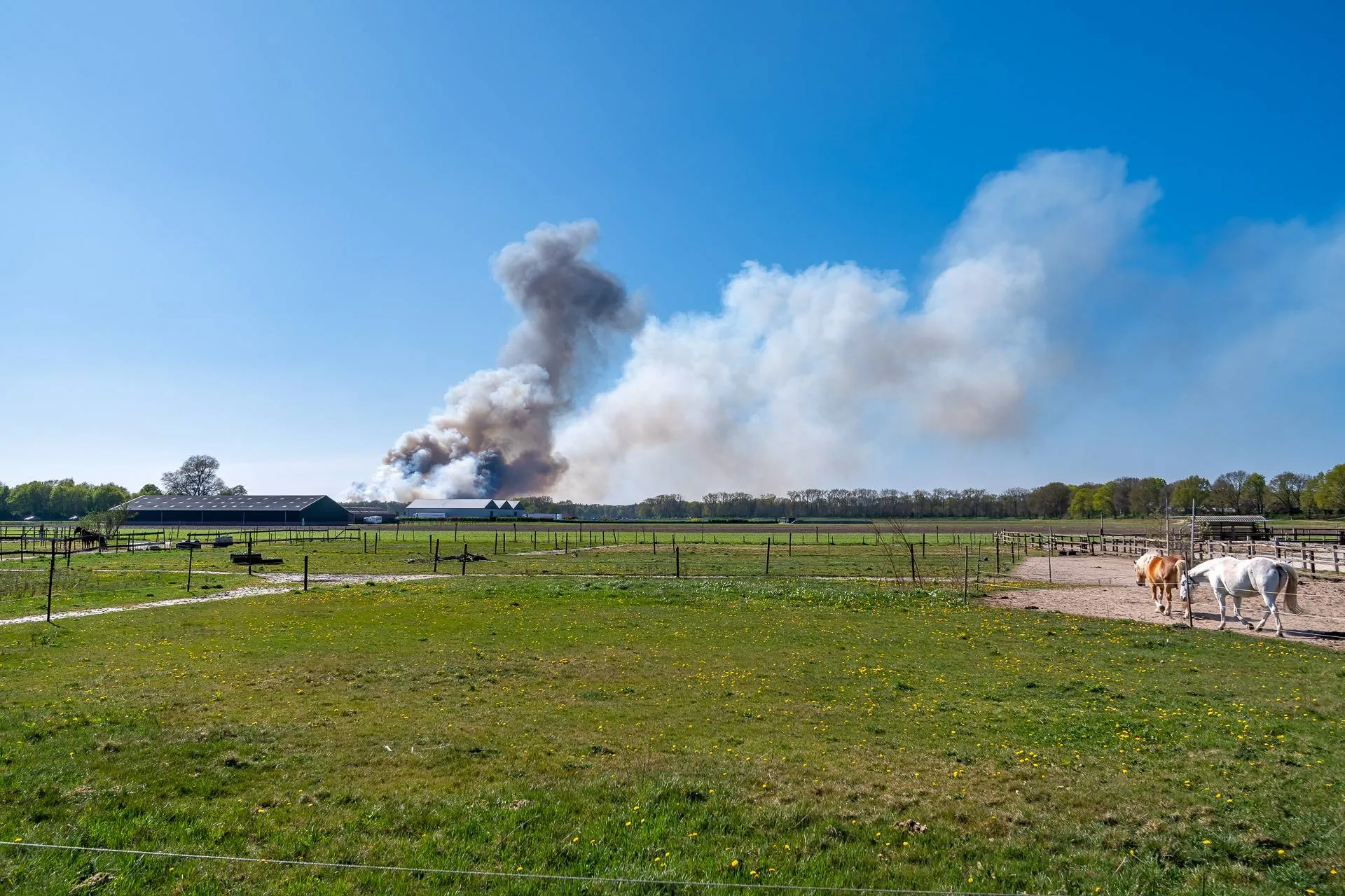 Zeer Grote Bosbrand bij Loonse en Drunense Duinen
