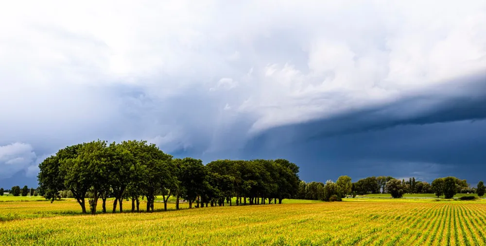 Code geel vanmiddag in buurprovincie Limburg