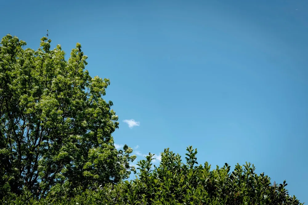 Zomerse dagen en vrijdagavond code geel