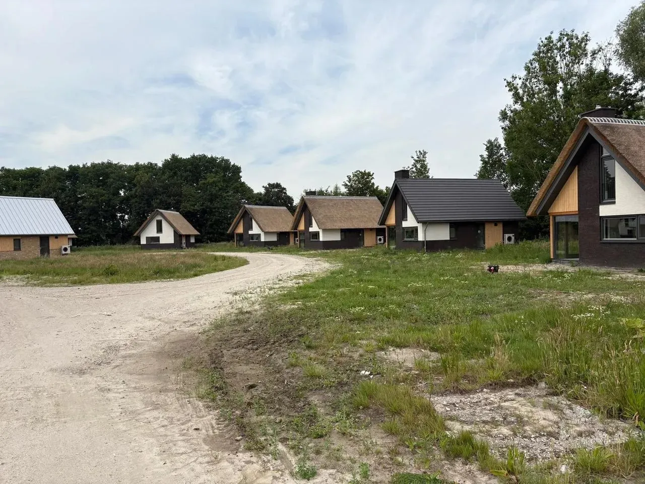 255650828-693ac03415f9a