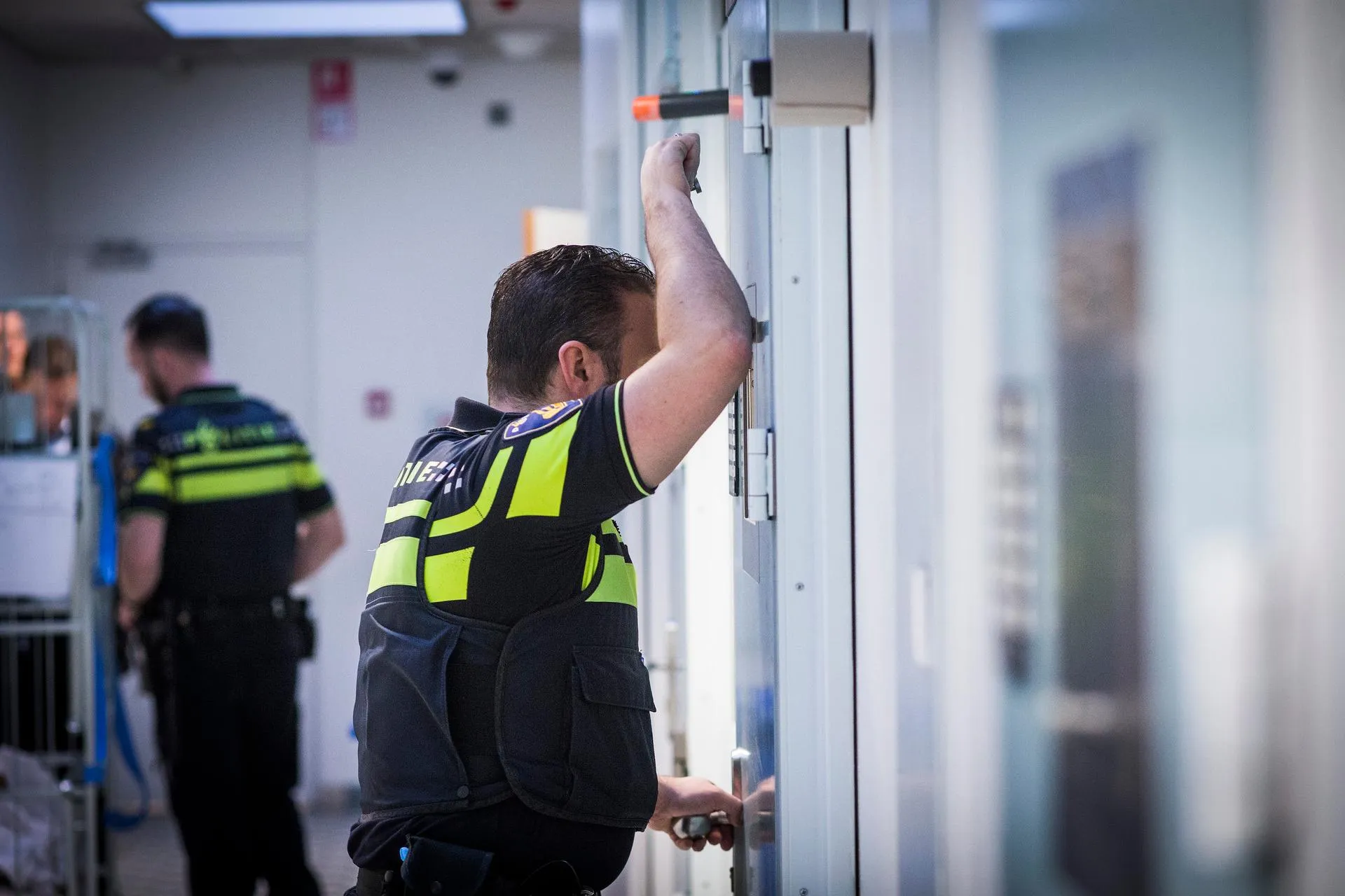 87773139_cellencomplex