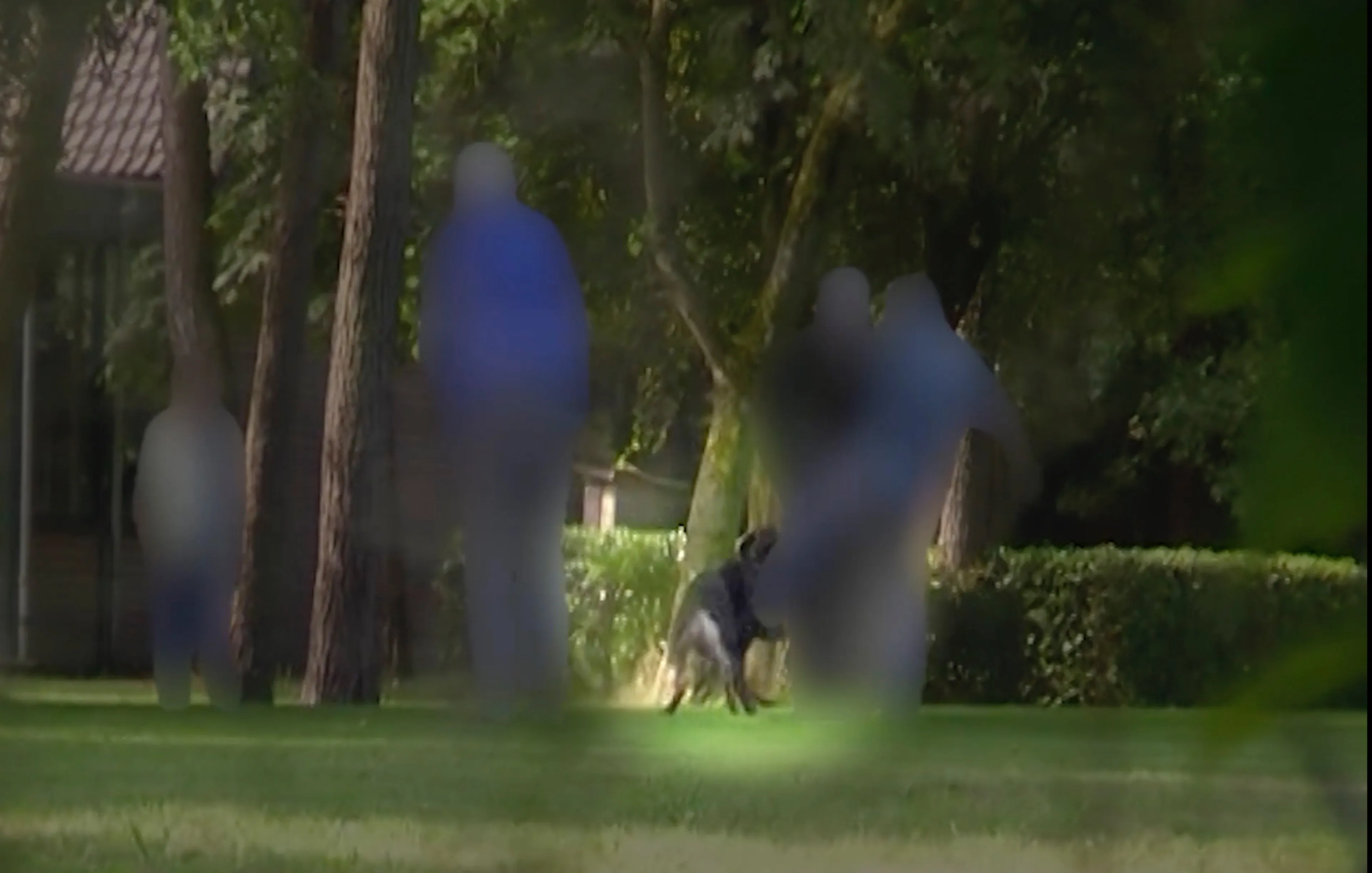 Zembla_videostill_hond_schop