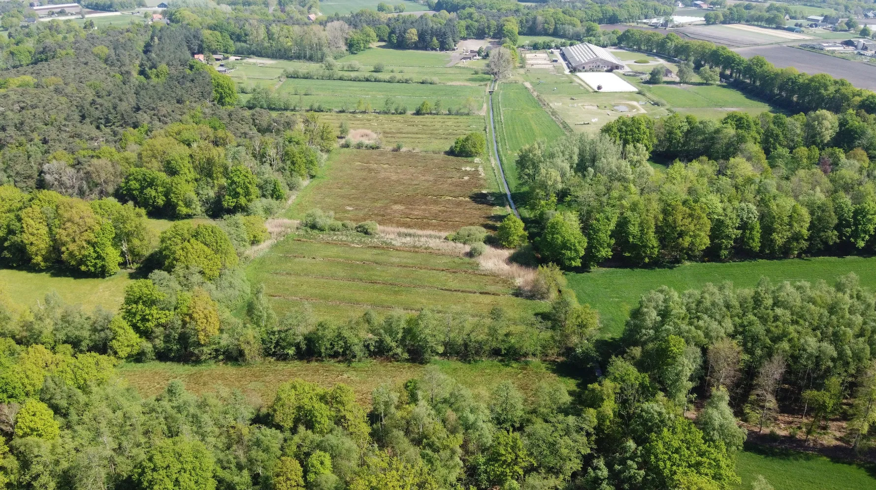 afbeelding vloeiweide