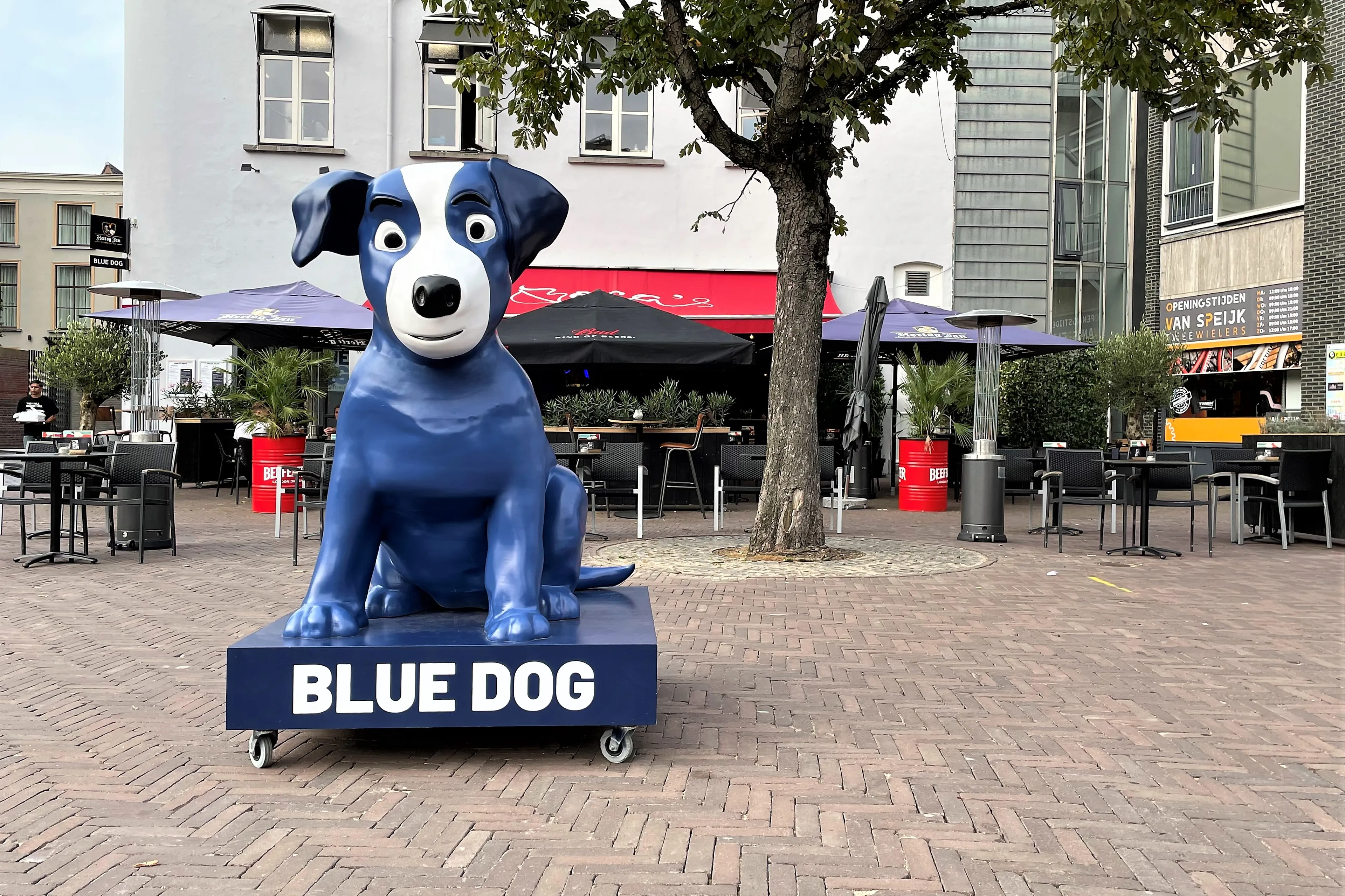 blue dog vooraanzicht