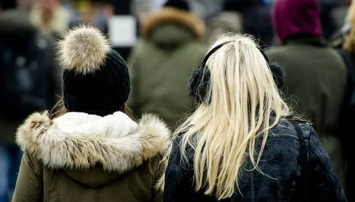 voor het eerst matige vorst 715x408