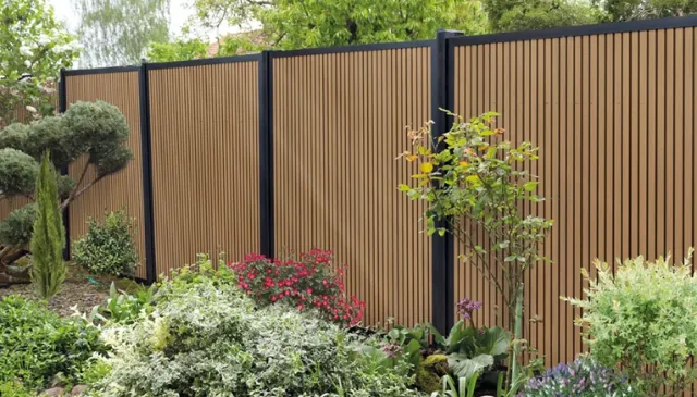 Afbeelding 1 -Advertorial december 2025