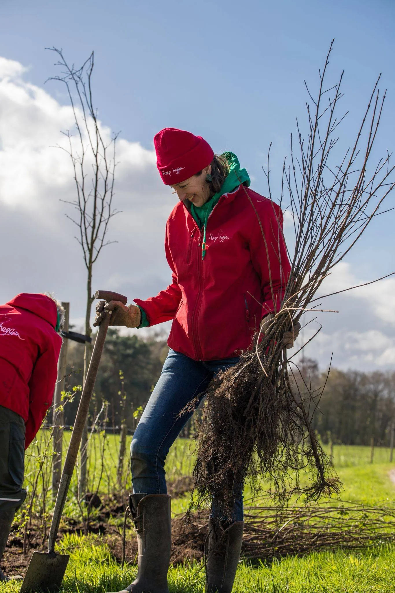 Herenboeren Op ’t Lies plant 460 meter heg voor biodiversiteit