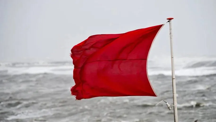 273002951-667928974552457-2715862378291491080-n-915x518-1