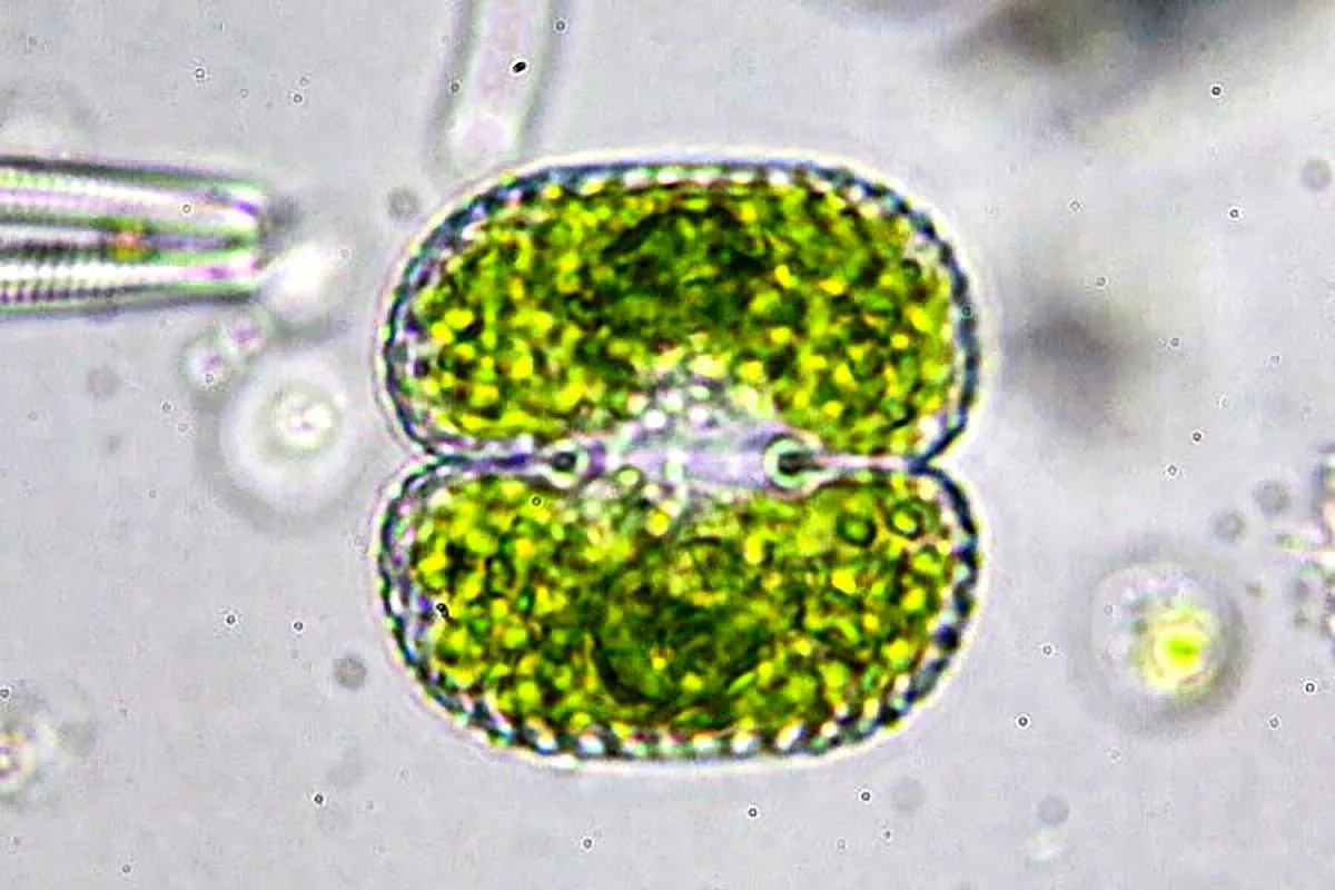 unnamed (20) kopiëren