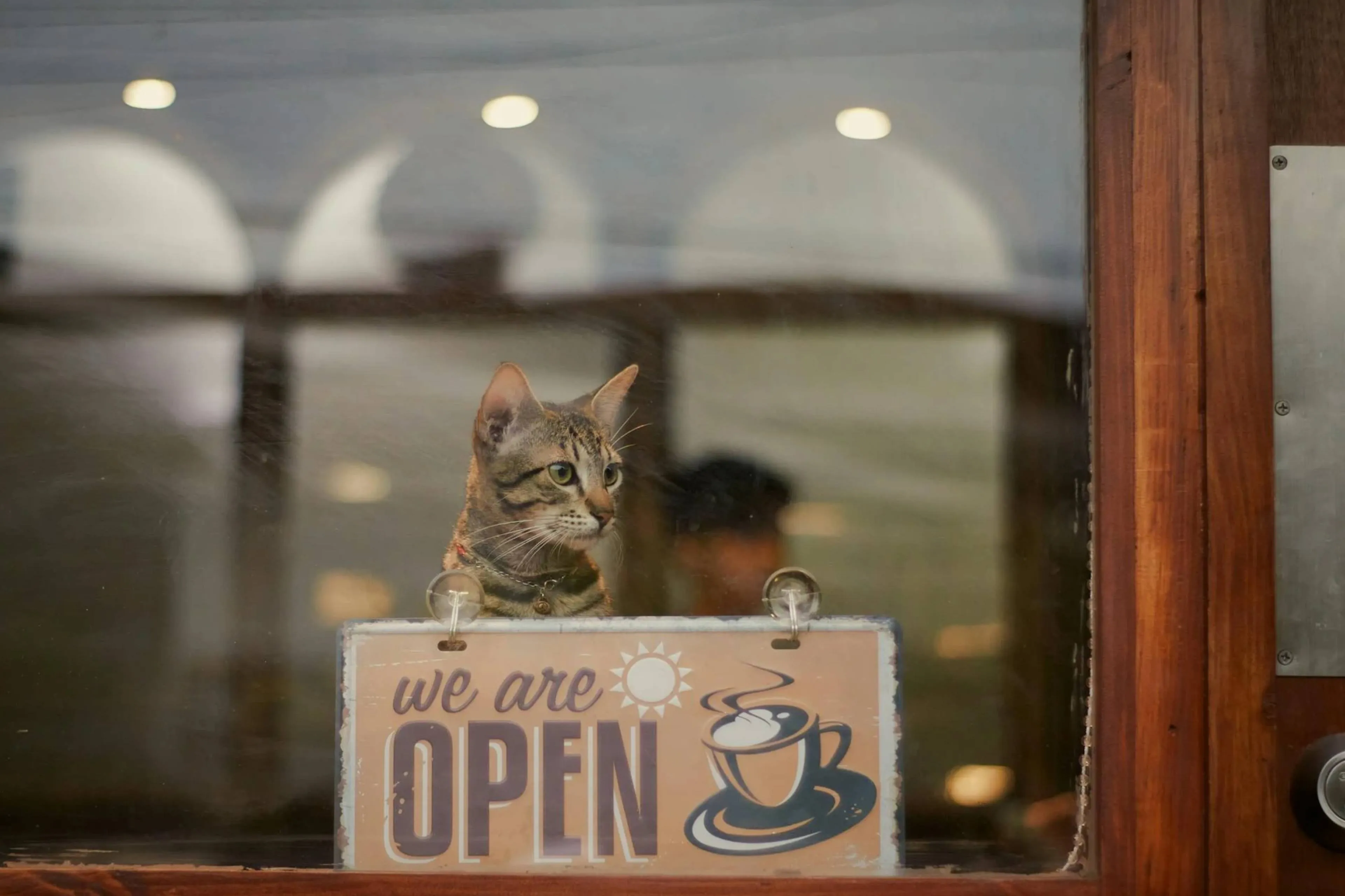 cafejpg