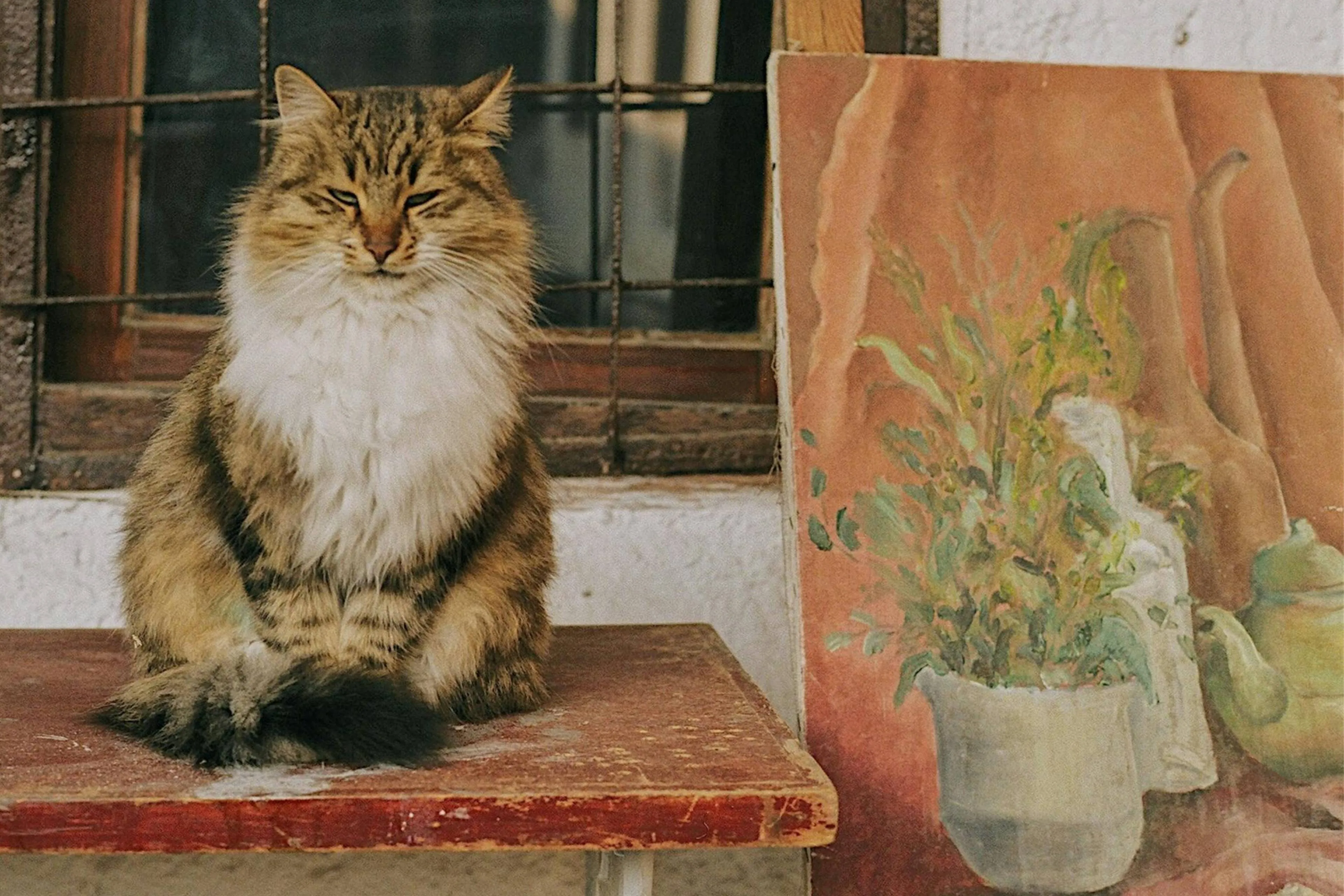 Ken je de expositie Animal Therapy in Amsterdam al?