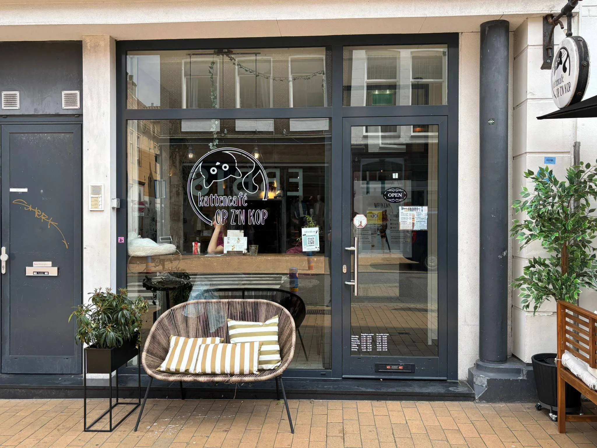 op zijn kop kattencafe0