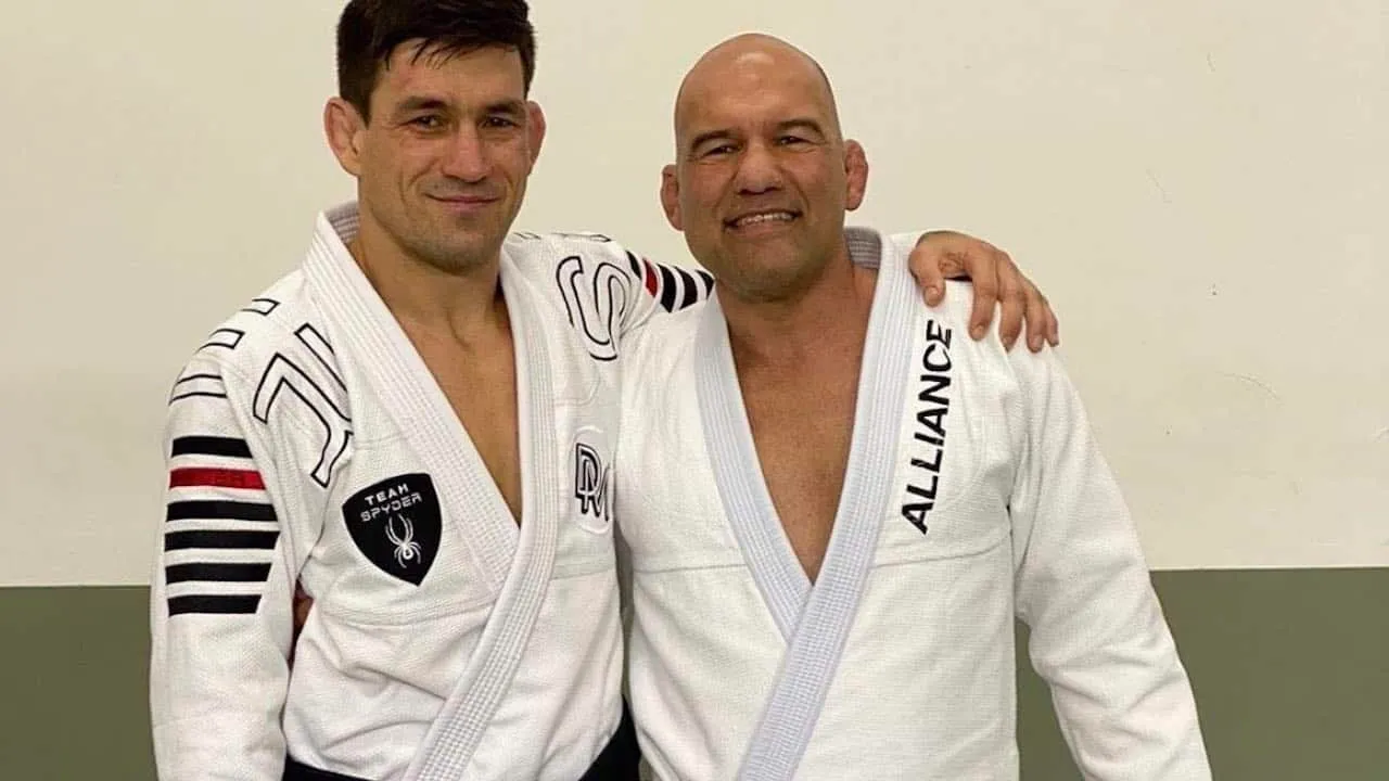 demian maia