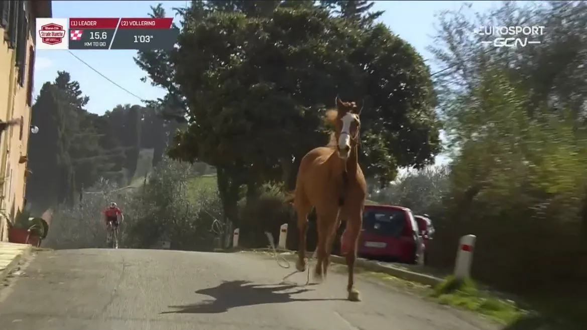 Vídeo: ¡Un caballo se cuela en el recorrido de la Strade Bianche Donne y se cae delante de una ciclista!
