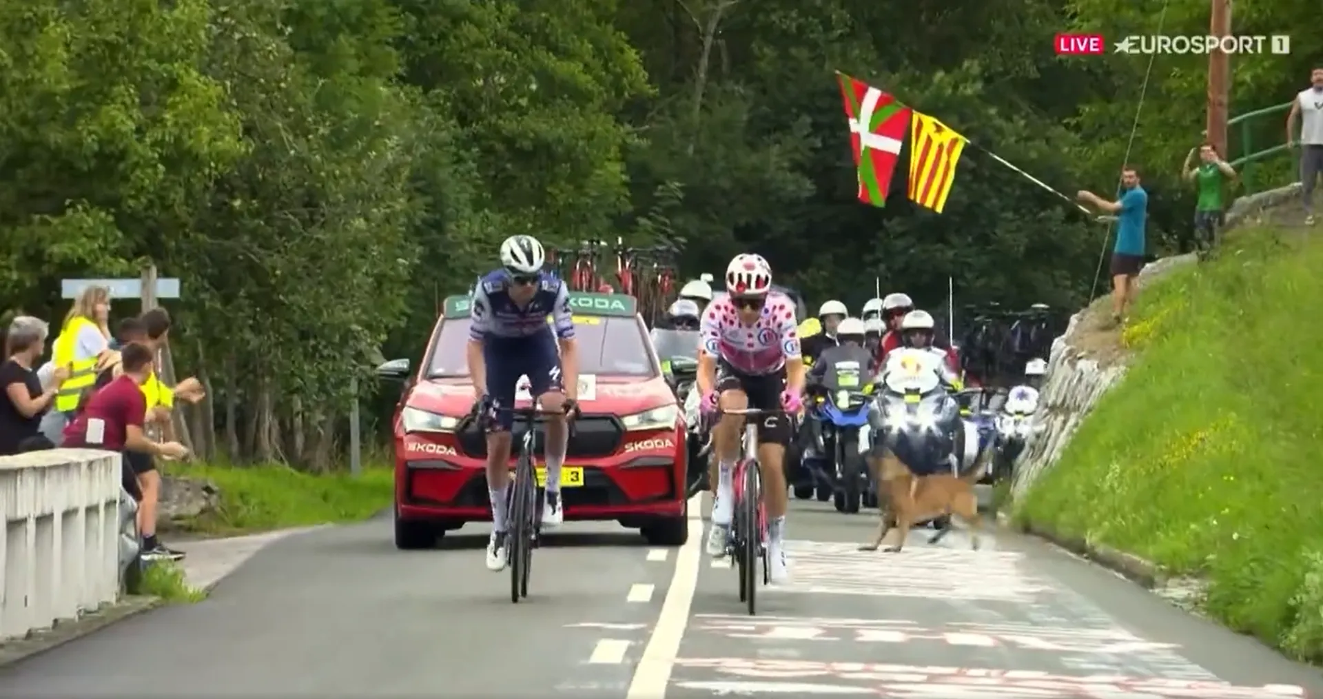 VÍDEO: ¡Un perro casi tira a los escapados camino de Donosti en el Tour de Francia!