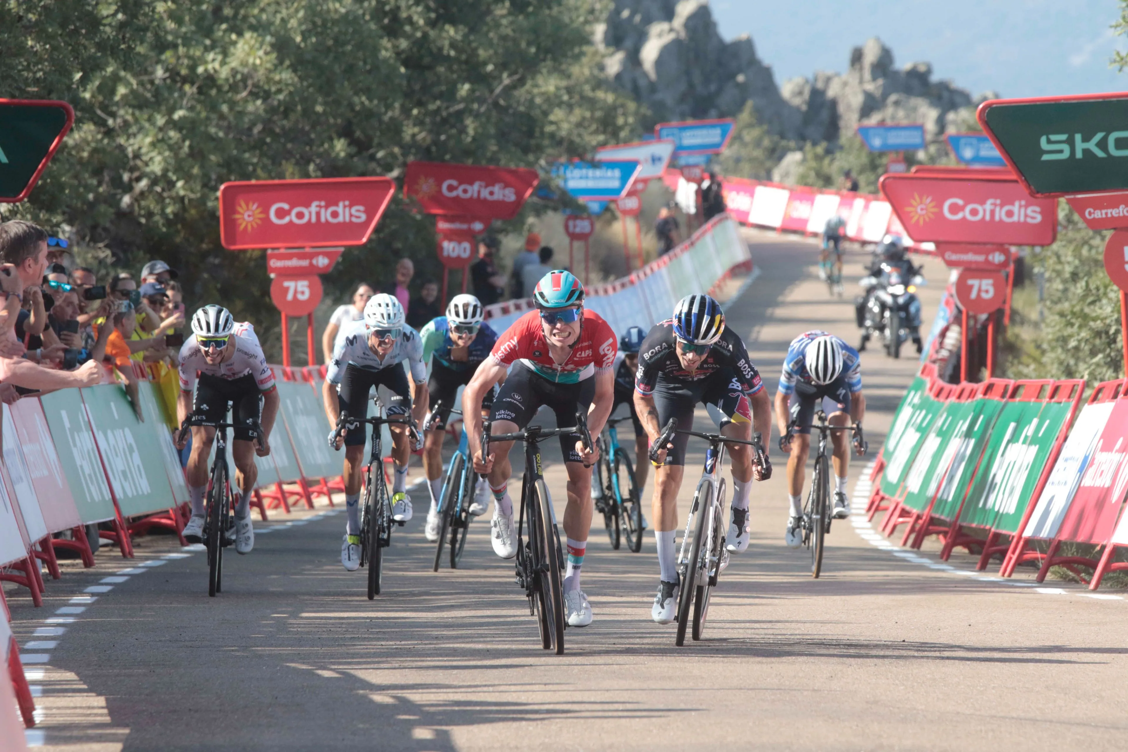 PREVIA | Etapa 8 Vuelta a España 2024 - Primoz Roglic, obligado a atacar a Ben O'Connor en un final bestial en Cazorla