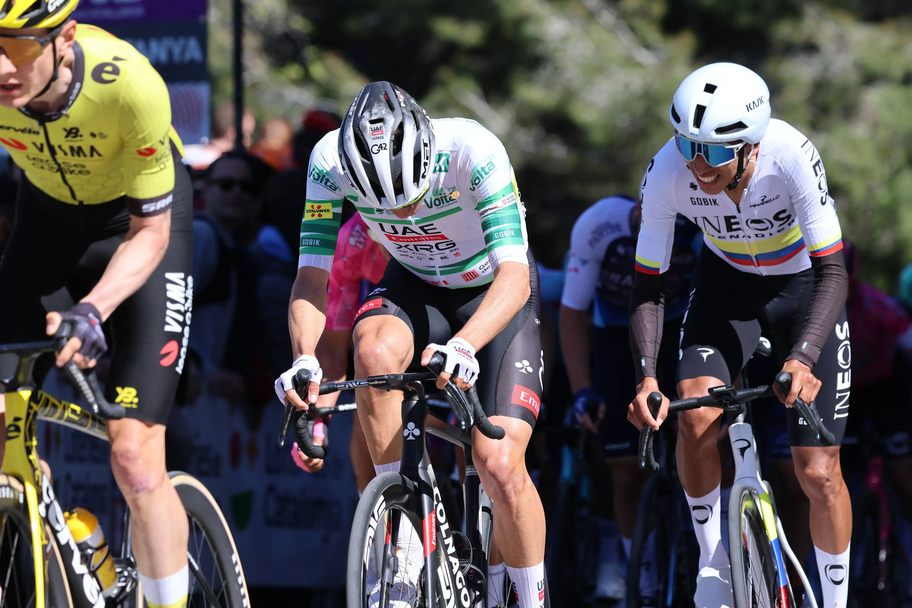 Race Center Giro de Italia 2025: Previas, perfiles, participantes, premios, TV....
