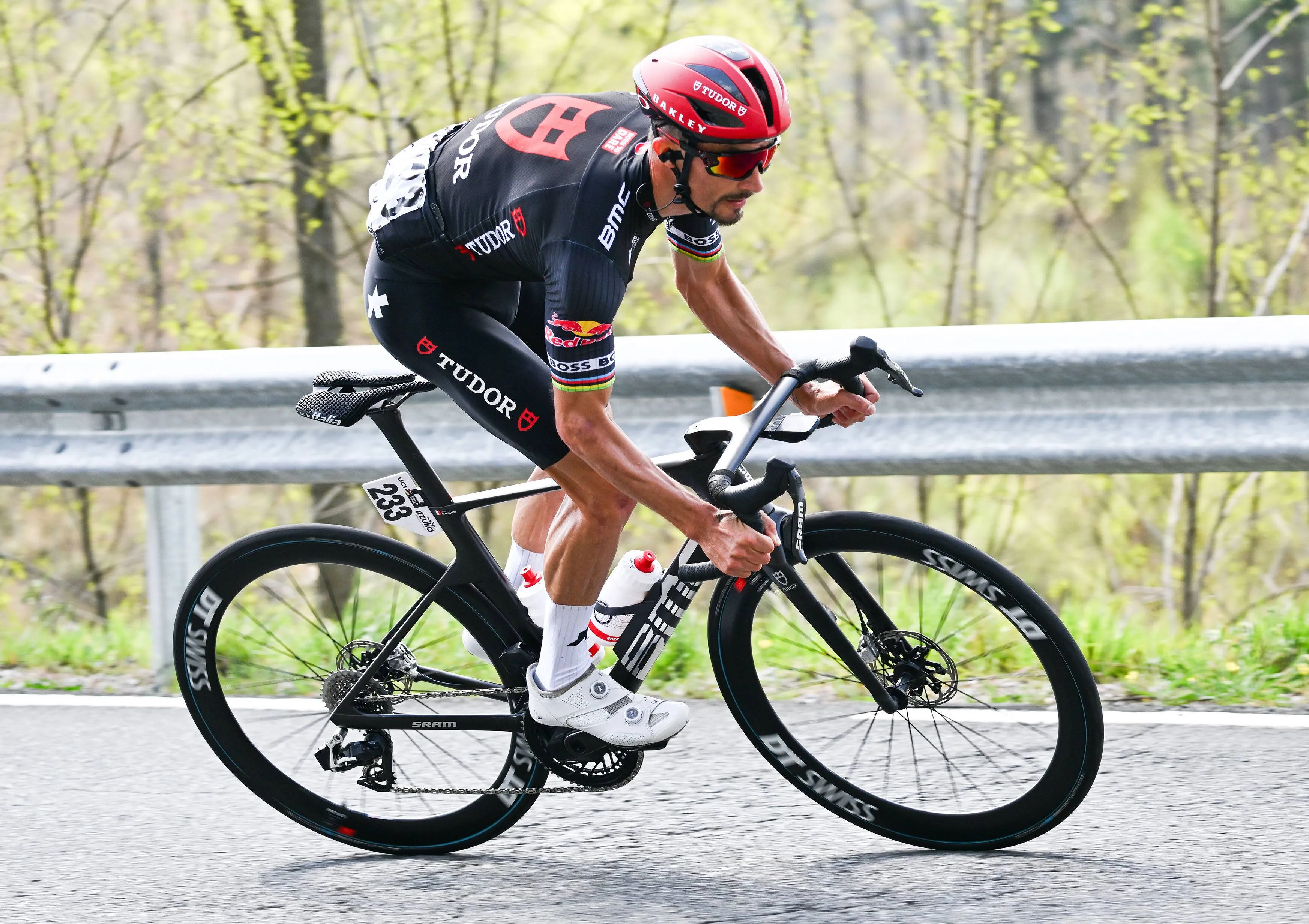 julian alaphilippe 1209019643