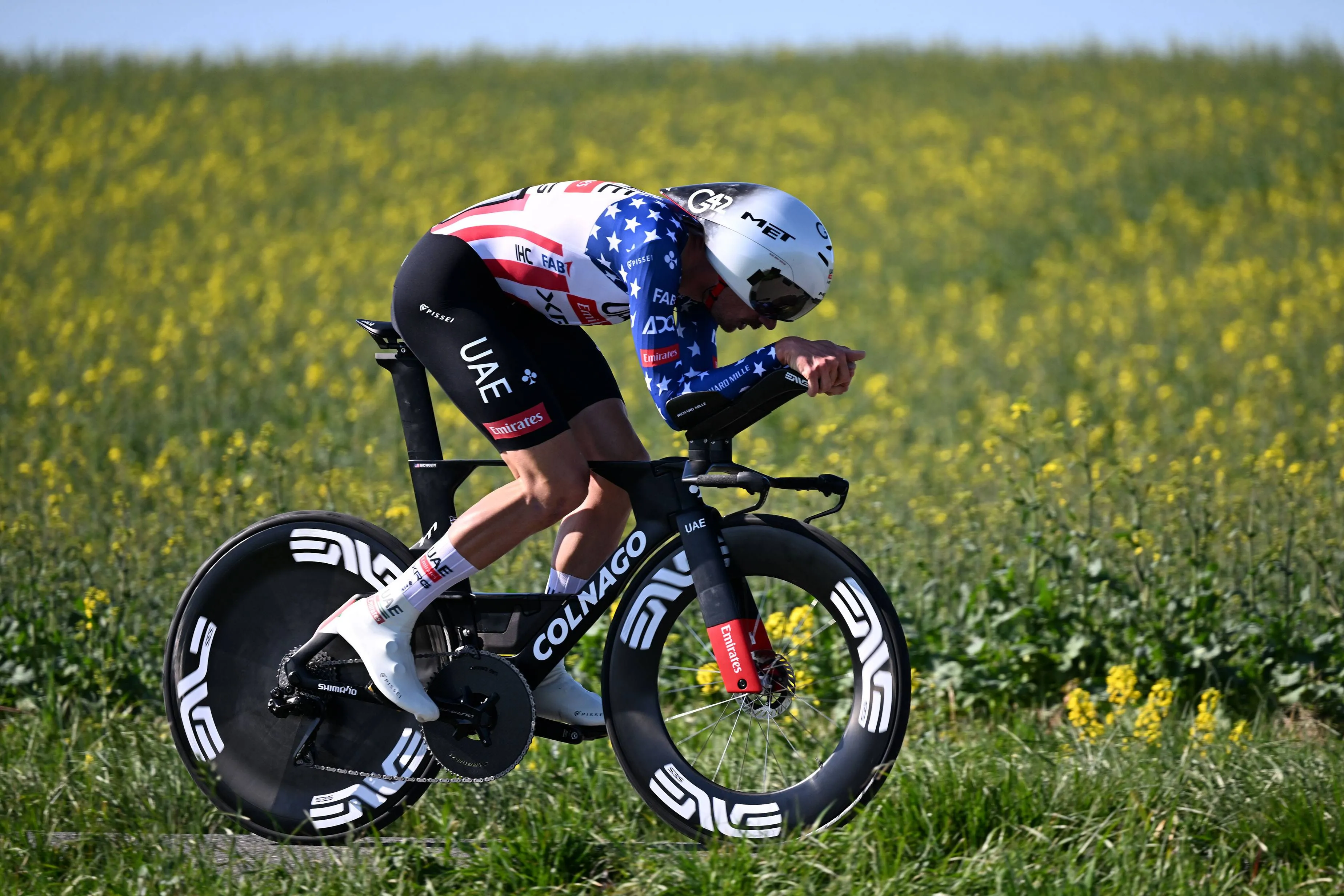 mcnulty itzulia 1208278196