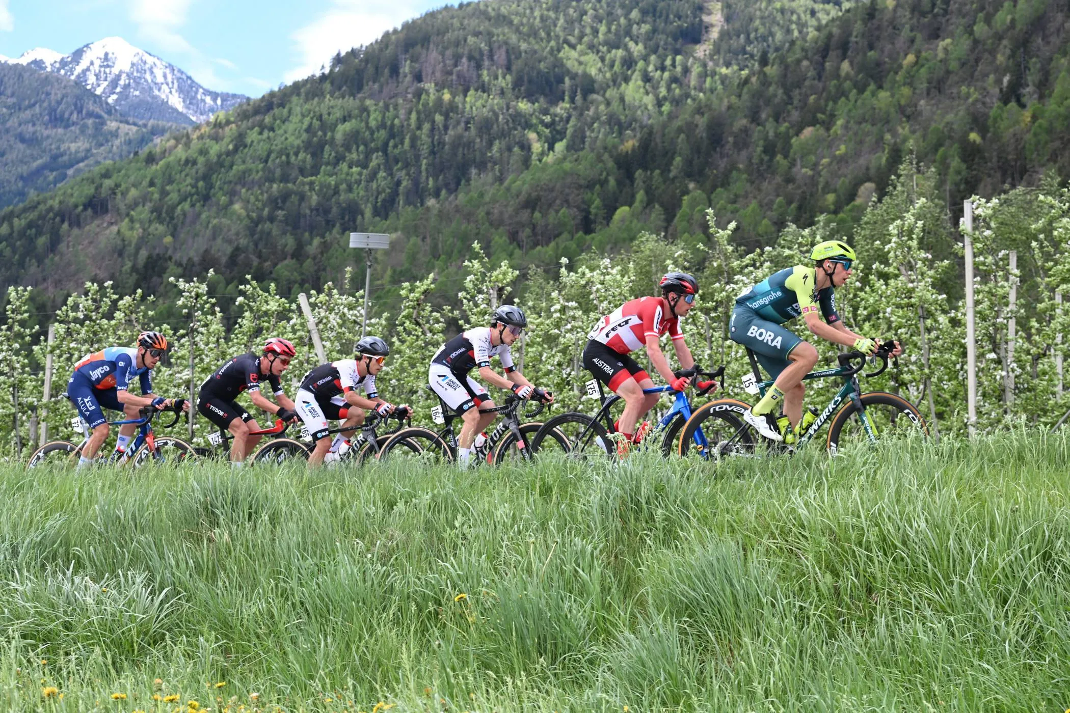tour de los alpes 1157540626