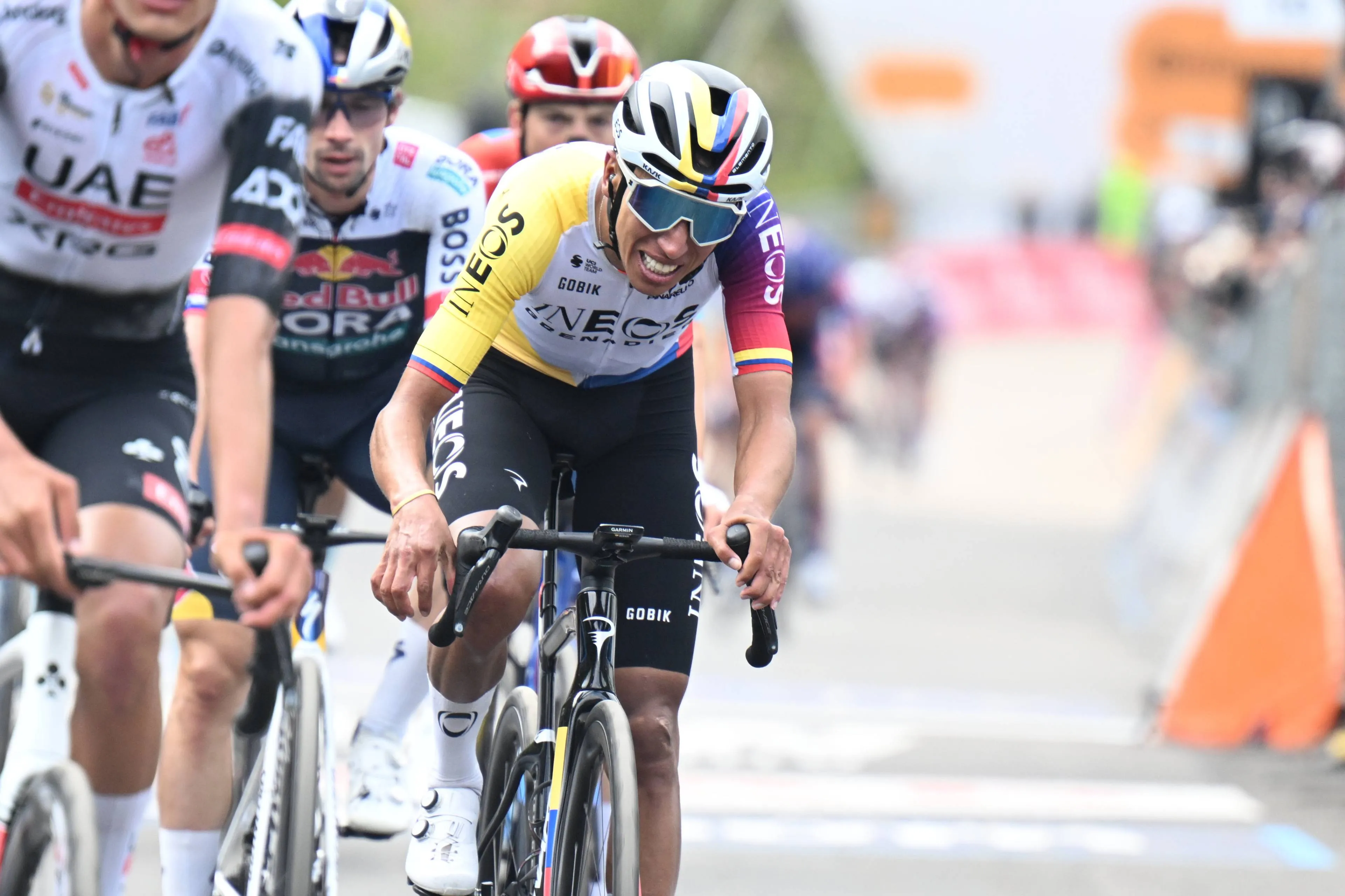 eganbernal