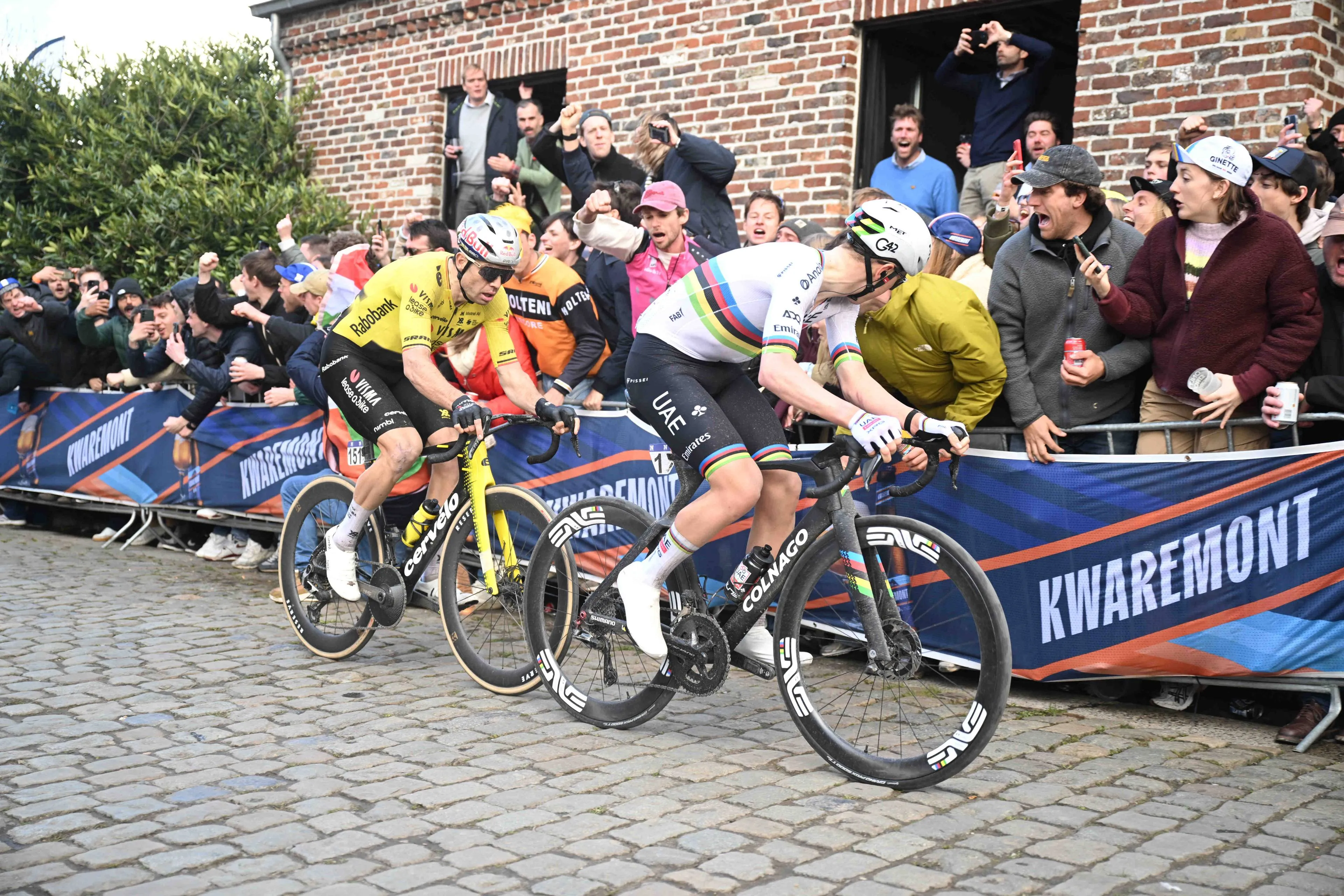 Wout van Aert and Tadej Pogacar