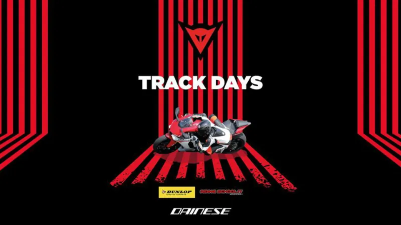 29177571 976141672537736 2236336956462071808 n