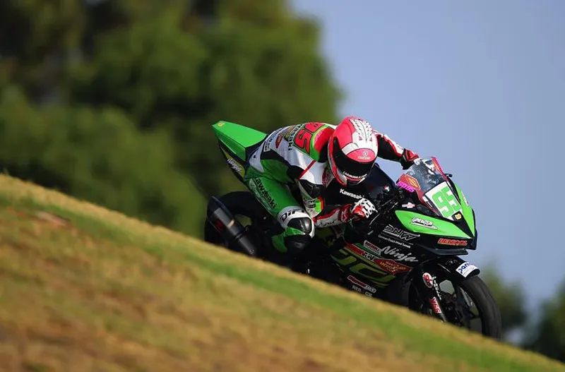 41798935 1938818752844713 4274391572268711936 n