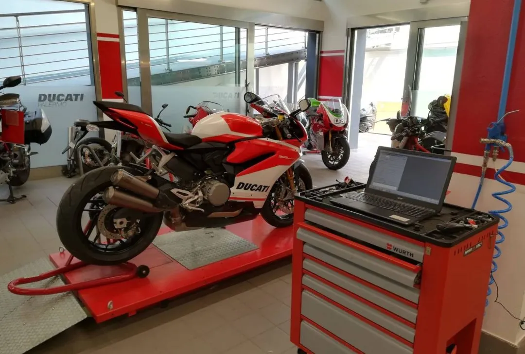 42121193 537766053302866 5624282712316575744 o 1