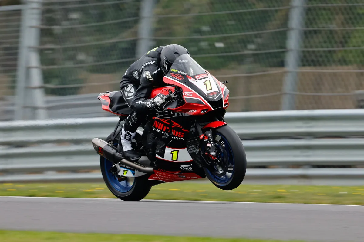 491994293 1442642950304919 1902330122546895560 n result