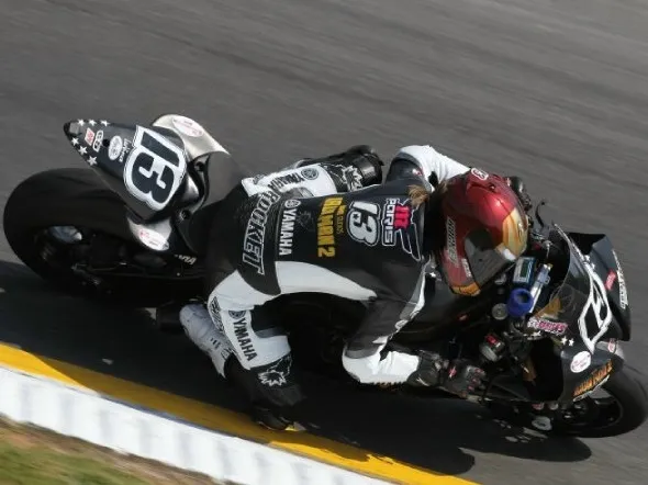 ama melissaparis wildcard