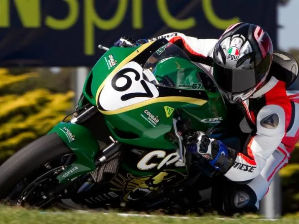 bryan staring cougar bourbon phillipisland