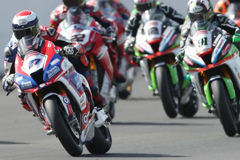 bsb dixon haslam 2018