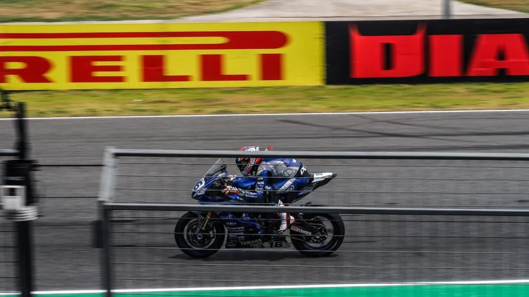 cover cluzel e1552810990845