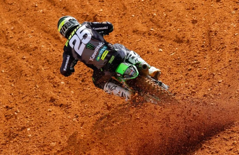 cover desalle e1525185808238