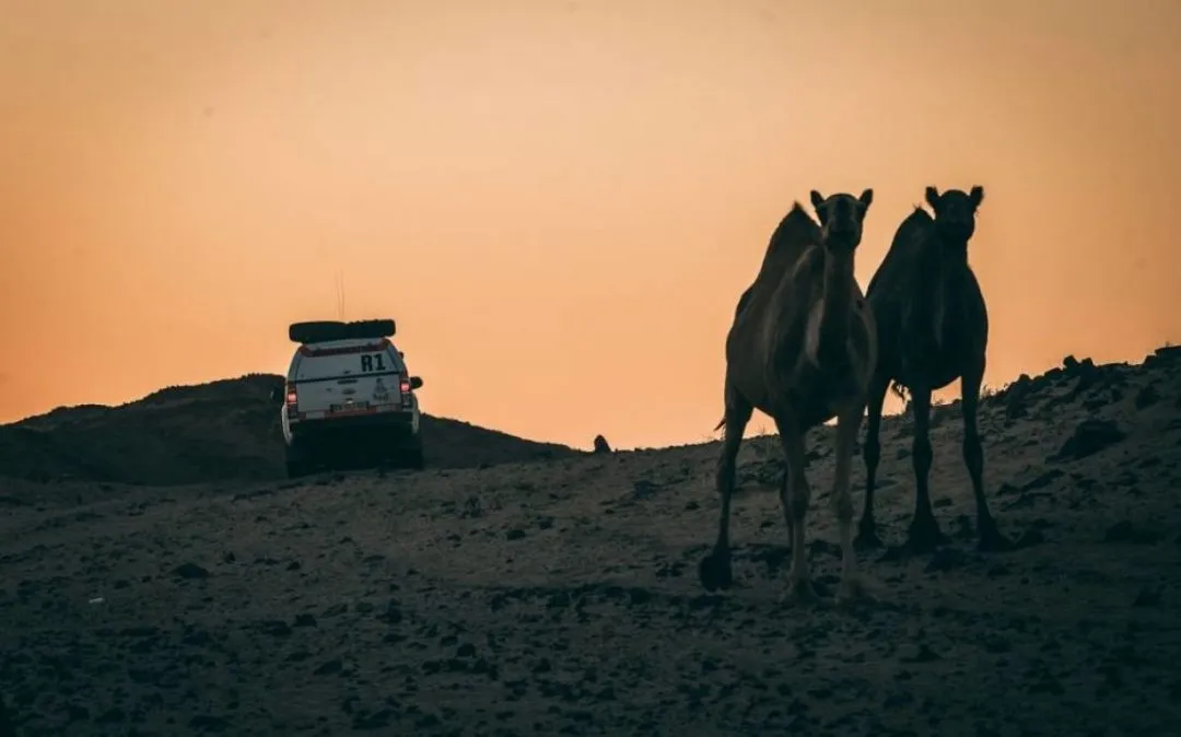 dakar2021 e1609324056120