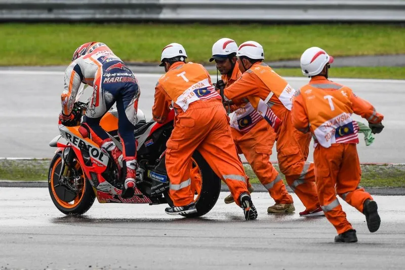 dtp0schw0aeckoo e1544021942246