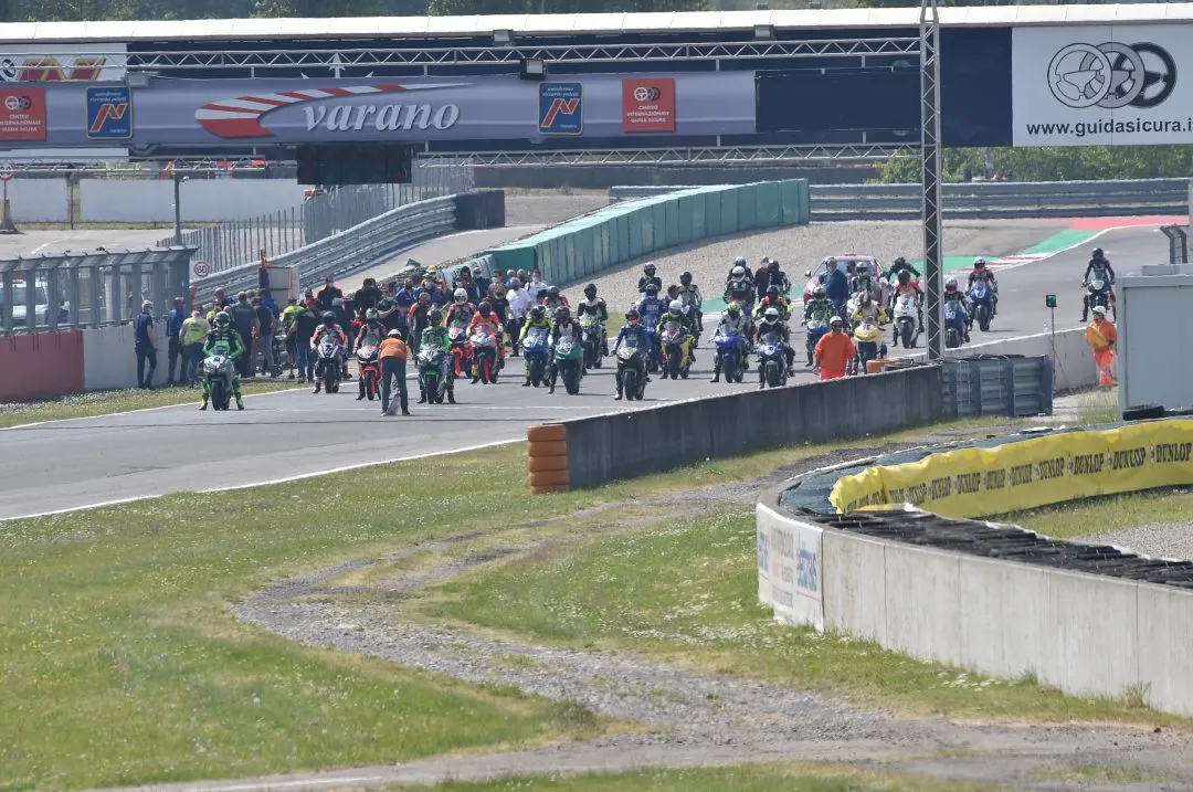 fau 3951 e1619449911652