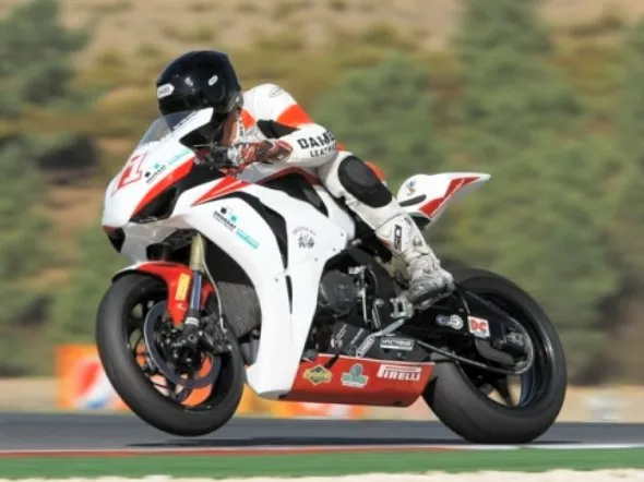 roy ten napel stock1000