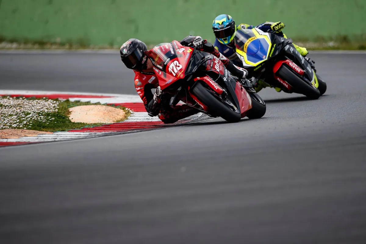 AN3I8380 copia_result