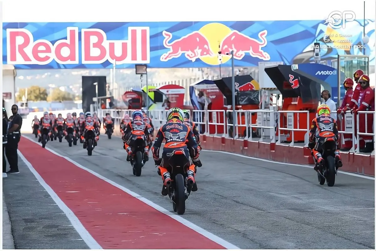 piloti-rookies-cup-2026
