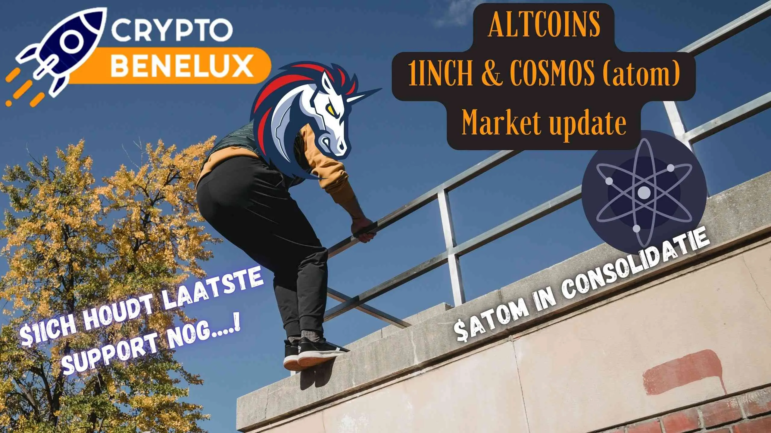 1inch en atom analyse