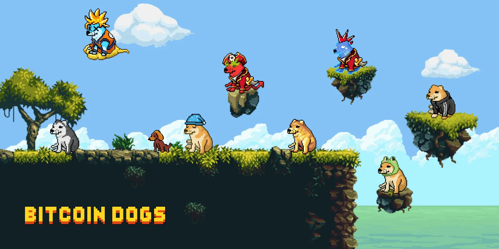 bitcoin dogs