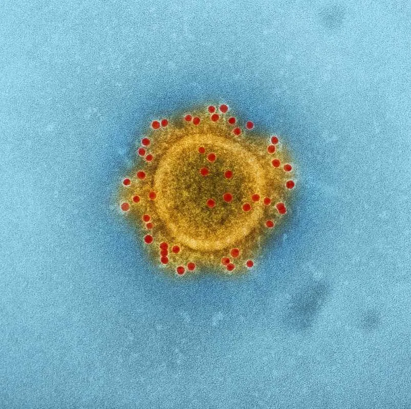 blockchain coronavirus