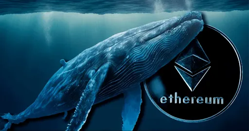 ethereum whale