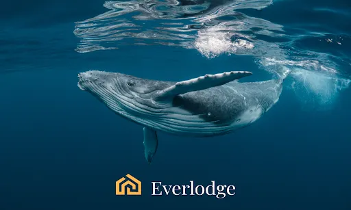 everlodge 2