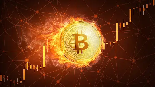 everlodge presale 2